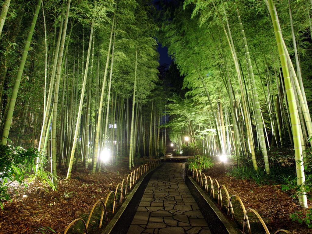 Asaba Ryokan Izu Kültér fotó
